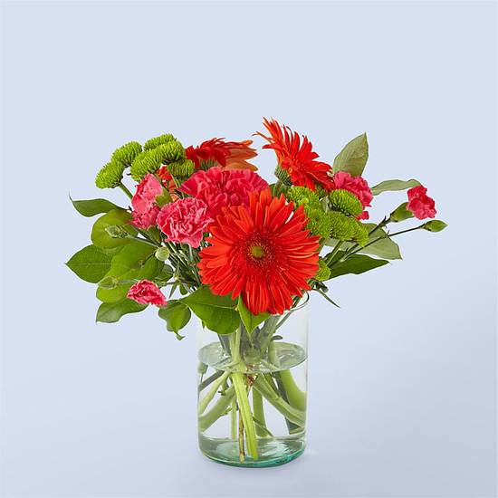 Order Best Dressed food online from Proflowers store, Novato on bringmethat.com