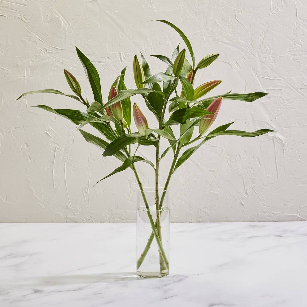 ORIENTAL LILY BUNCH