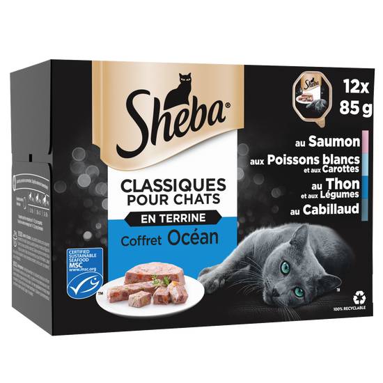 Sheba - Barquettes en terrine aux poissons pour chat (12 pièces)
