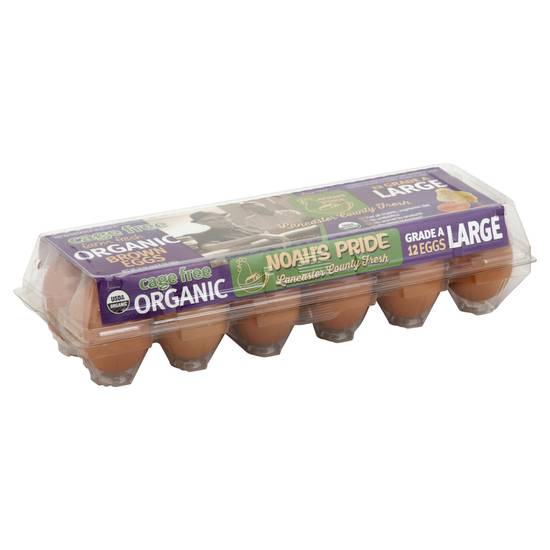 Noah's Pride Organic Cage Free Large Brown Eggs (12 ct)