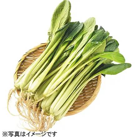 小松菜 1袋