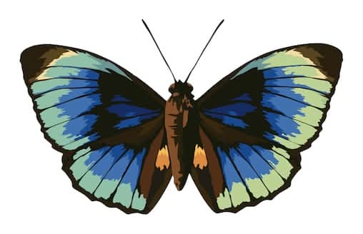 Jonathan Adler Butterfly Paint-By-Number Kit, 30x20 in