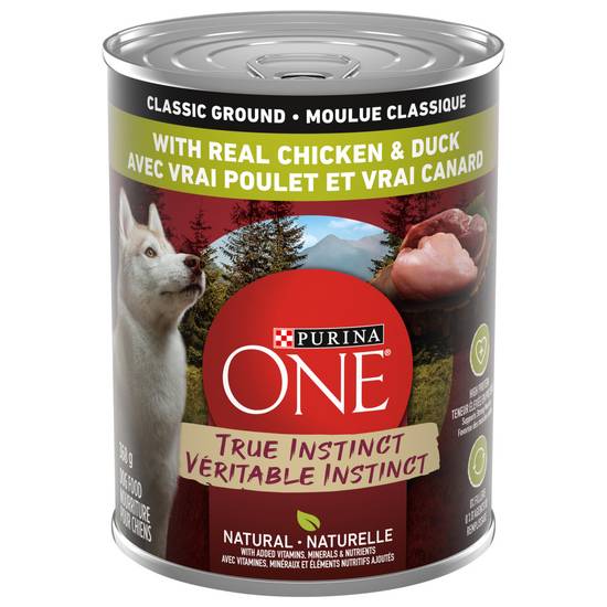 Grain free dog food clearance beneful