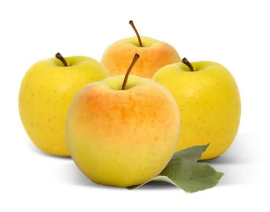 monoprix tous cultiv'acteurs pommes jaunes golden