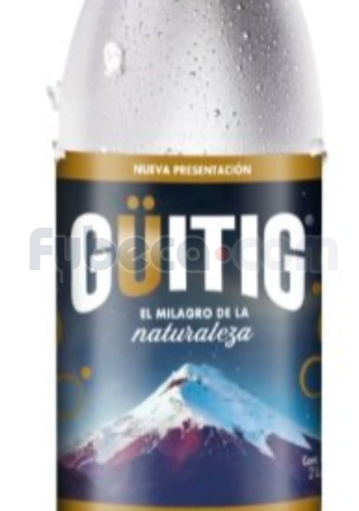 Agua Con Gas Guitig Pet  2000 Ml