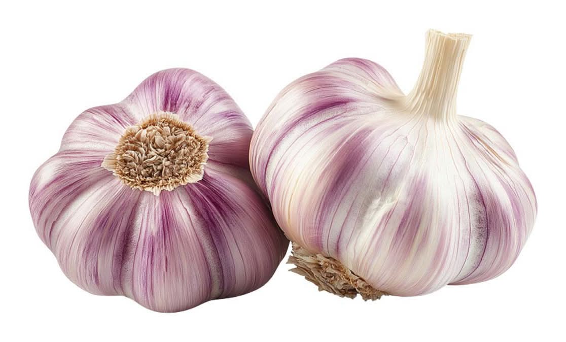 Single Sleeve Of Garlic 2 Ct