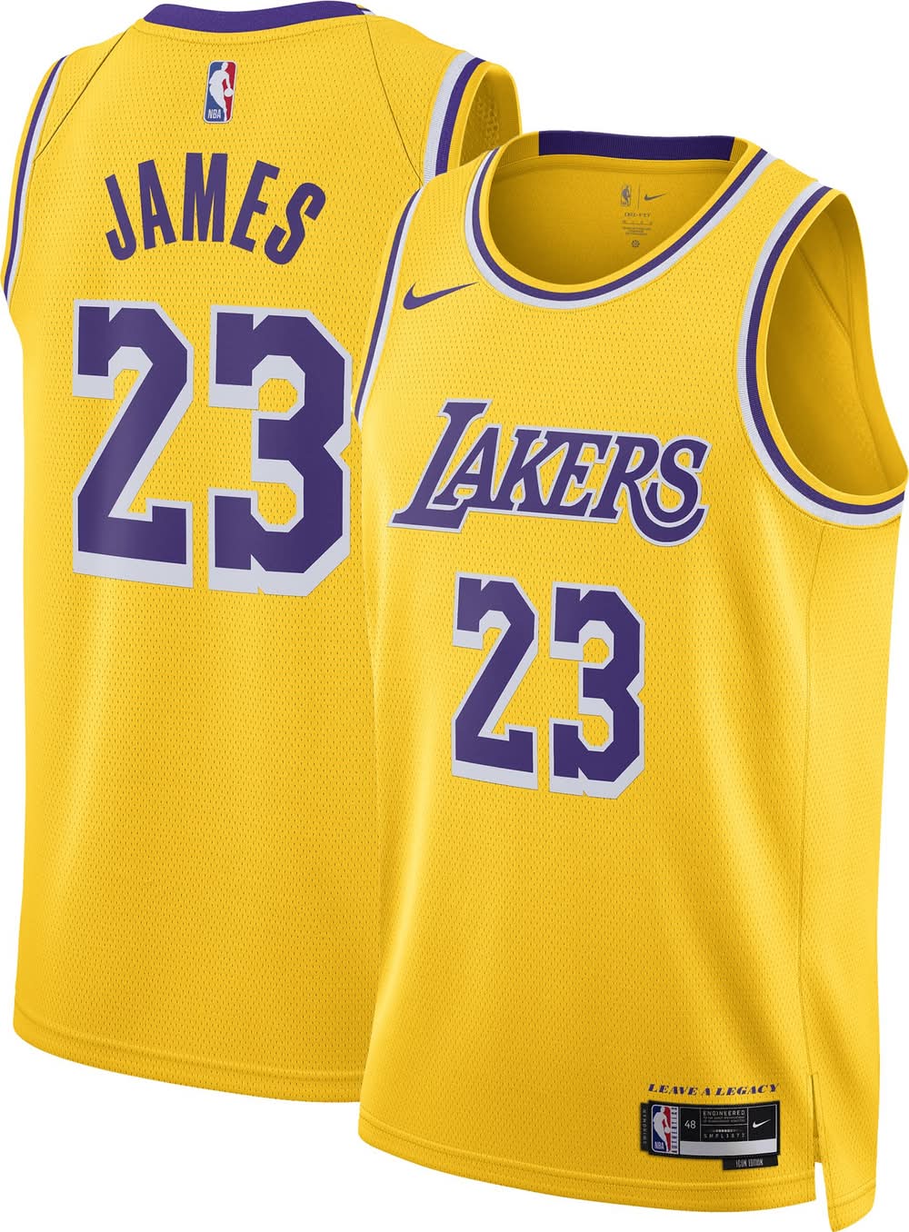 Nike Adult Los Angeles Lakers Lebron James 23 Swingman Icon Jersey