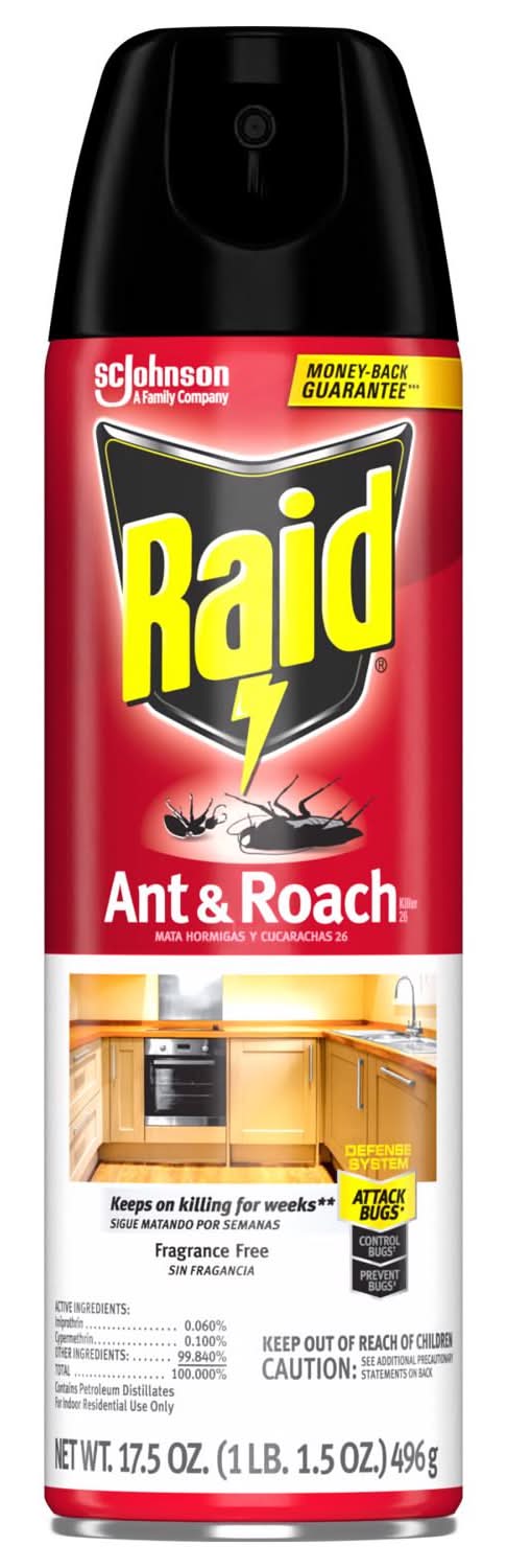 Raid Ant And Roach Killer Aerosol 17.5 Oz