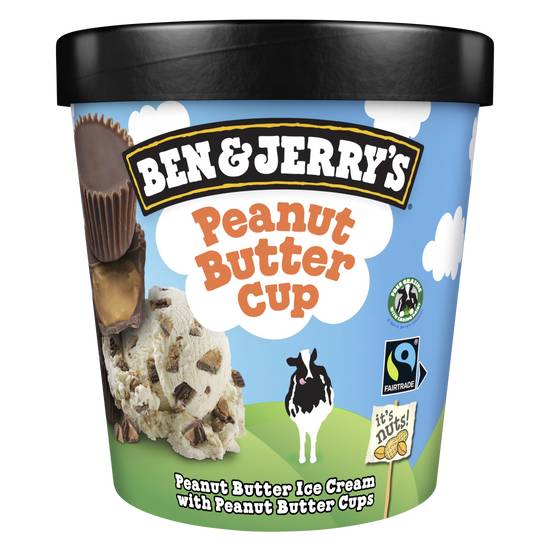 Ben & Jerry's Crème glacée - Peanut butter cup - Beurre de cacahuète - Pot 425g