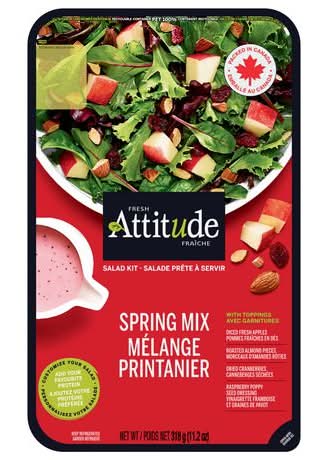 Fresh Attitude Family Salad Kit Spring Mix With Toppings