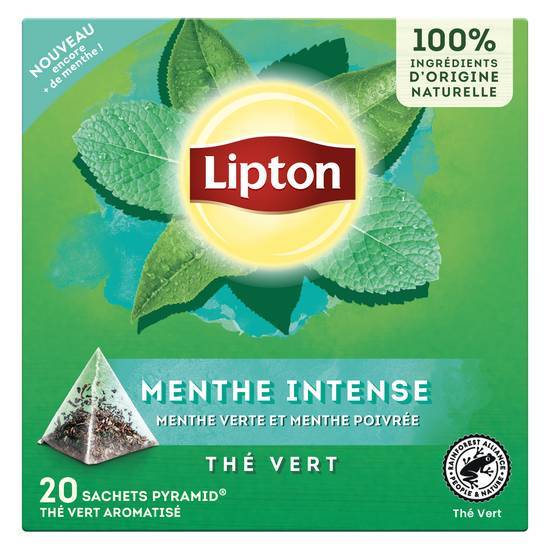 Lipton thé vert menthe intense 20 sachets pyramid®
