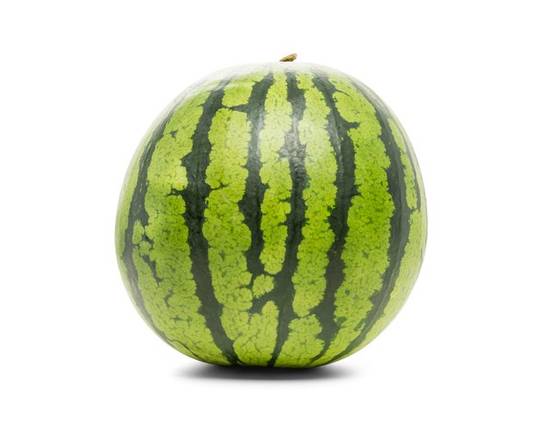 Personal/Mini Bin Watermelon (1 ct)