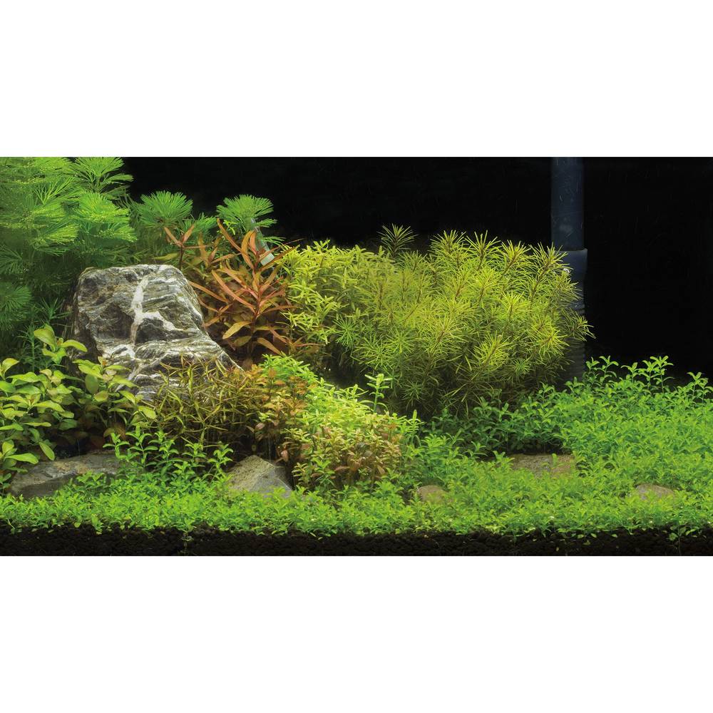 Top Fin® Underwater Garden & Riverbed Reversible Aquarium Background (Size: 36\"L X 18\"H)