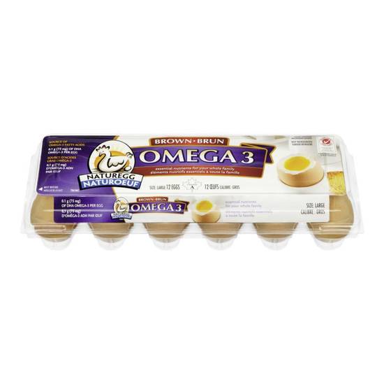 Naturegg Omega 3 Brown Eggs Large (12 units)