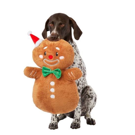 Merry & Bright™ Holiday X-Large Plush Gingerbread Man Dog Toy - Squeaker (Color: Brown)