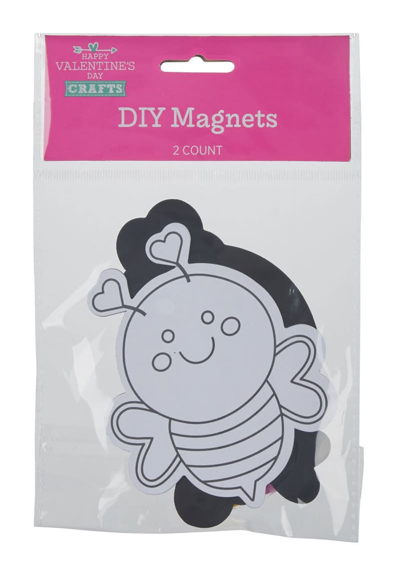 Happy Valentine'S Day Diy Magnets 2 Ct Assorted