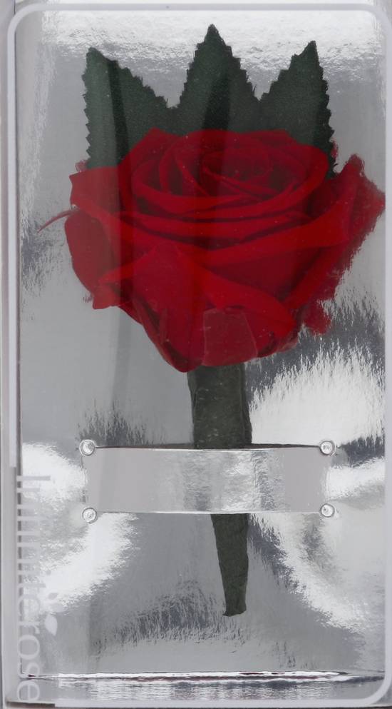 Infiniterose Preserved Rose Boutonniere (1 ct)