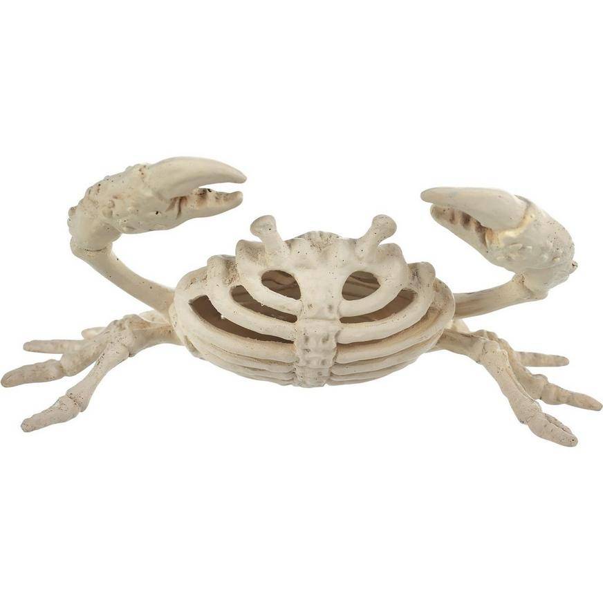 Plastic Crab Skeleton, 3.5in x 5.75in