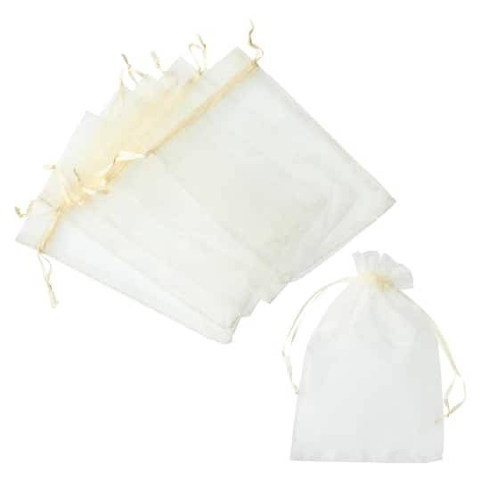 Celebrate It Occasions Organza Favor Bag, Large