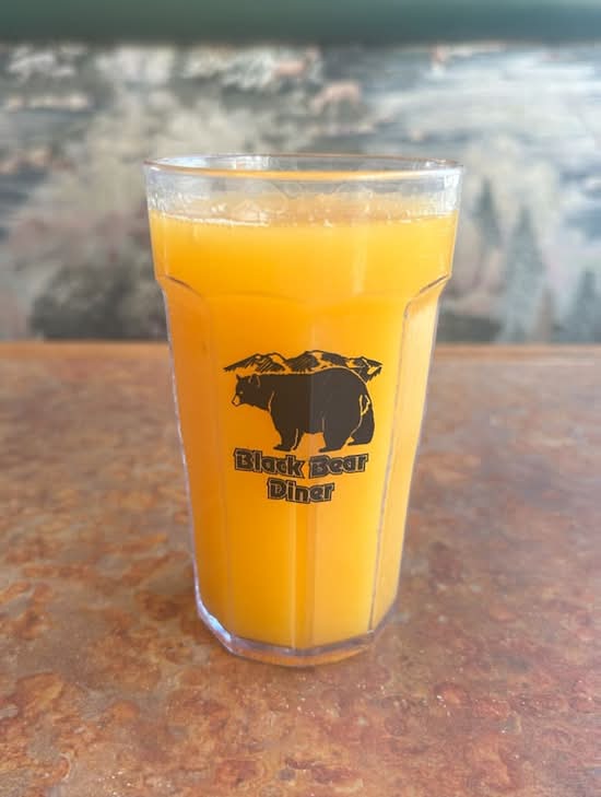 Fresh Squeezed Orange Juice - Small