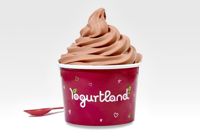 Chocolate Raspberry Truffle