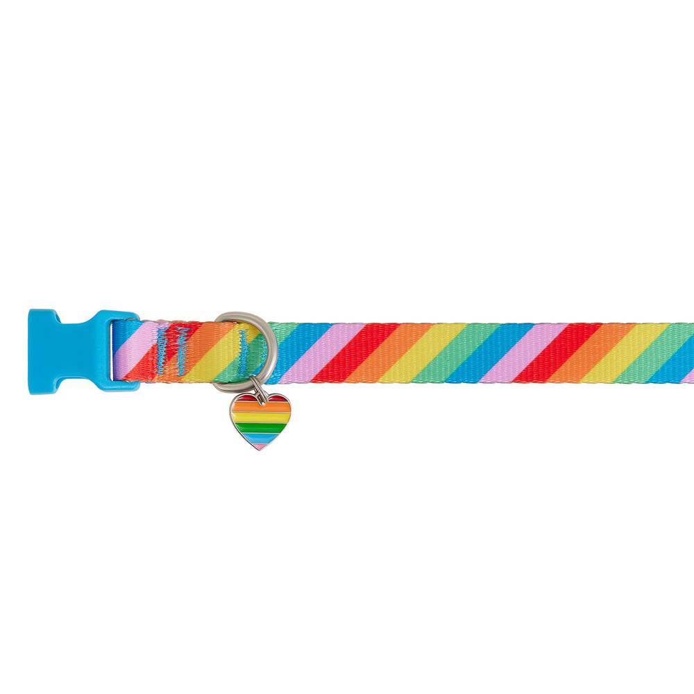 Top Paw® Pride Striped Dog Collar (Color: Multi Color, Size: Medium)