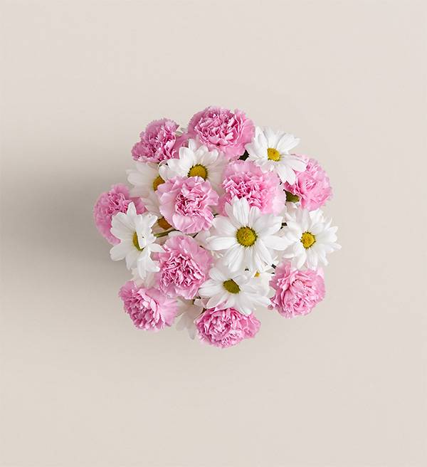 Daisy Delight Small Bouquet