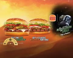 Burger King (2565 E President George Bush Hwy)