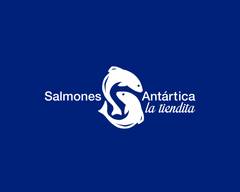 SALMONES ANTÁRTICA 