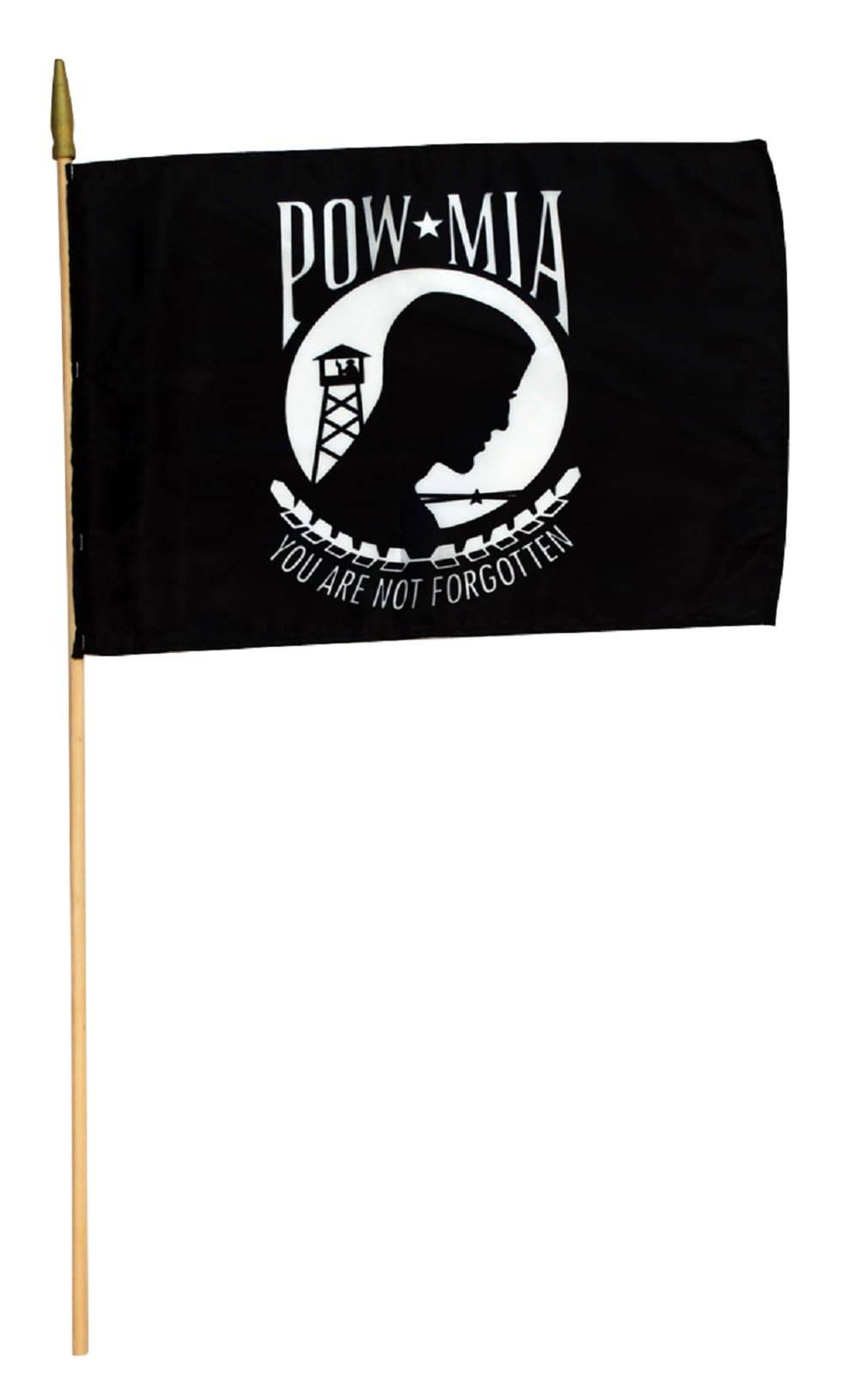 Independence Flag 1.5-ft W x 1-ft H Military Flag | R296