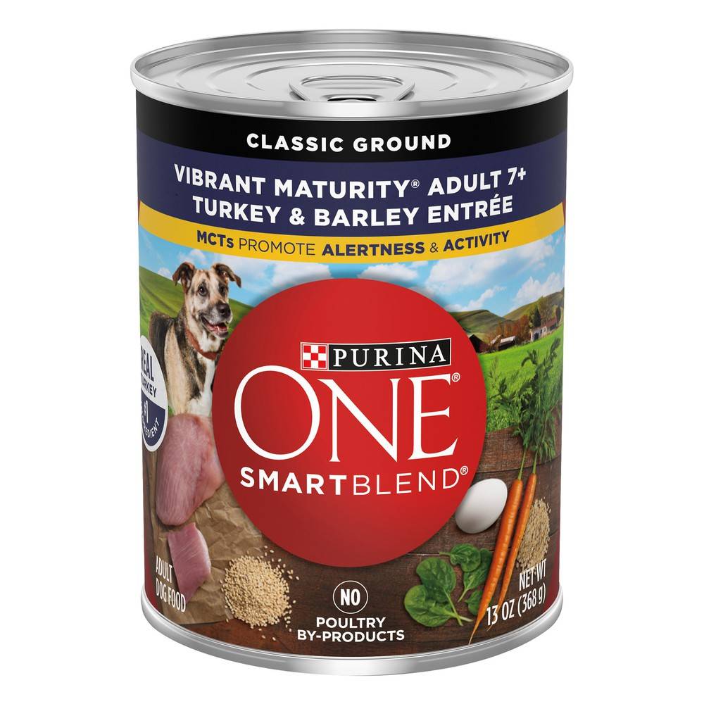 Purina One Turkey & Barley Dog Food (13 oz)