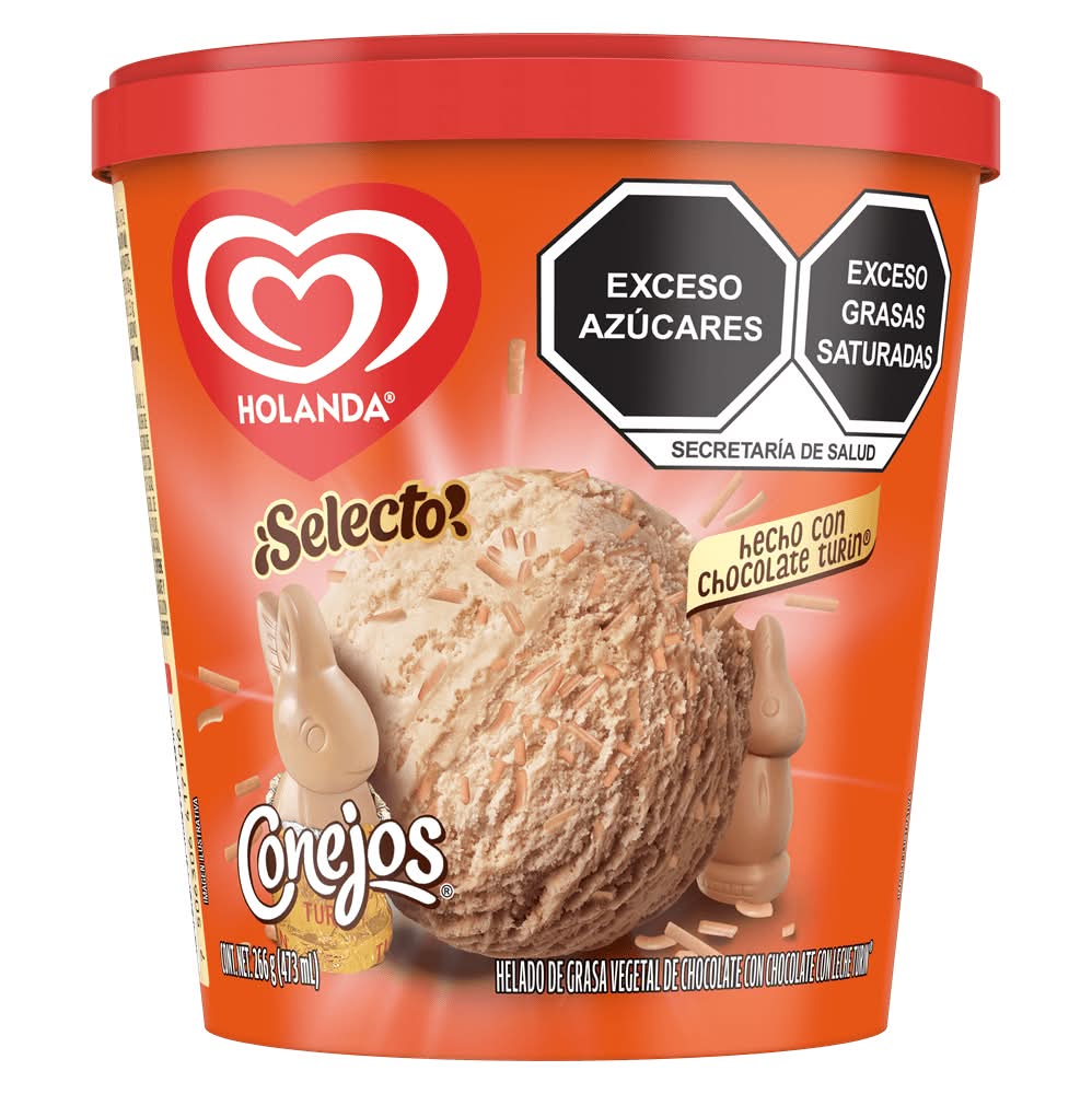 Holanda · Helado de chocolate con chispas de chocolate turin (473 ml)