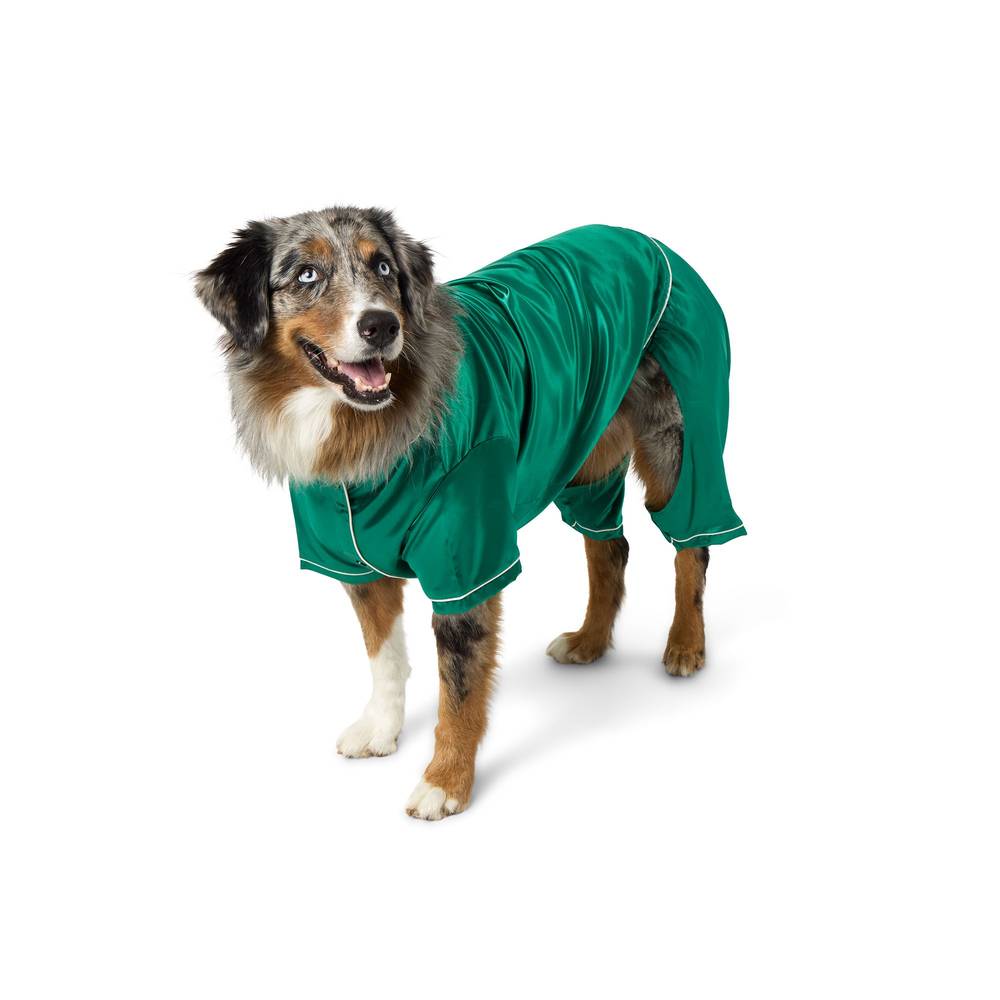 Pet Holiday Dog Shirt, Small, Green