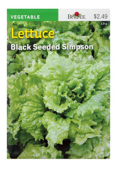 Burpee Black Seeded Simpson Lettuce Seed