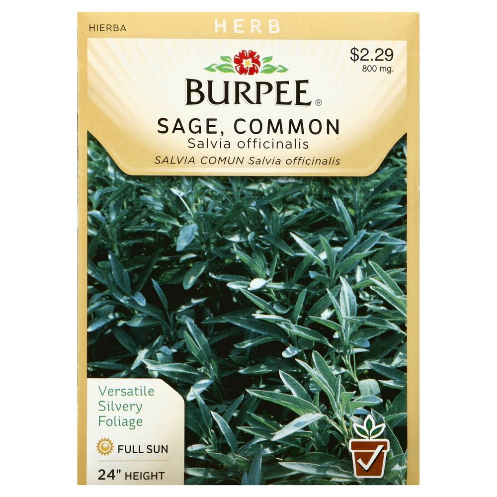 Burpee Sage Common