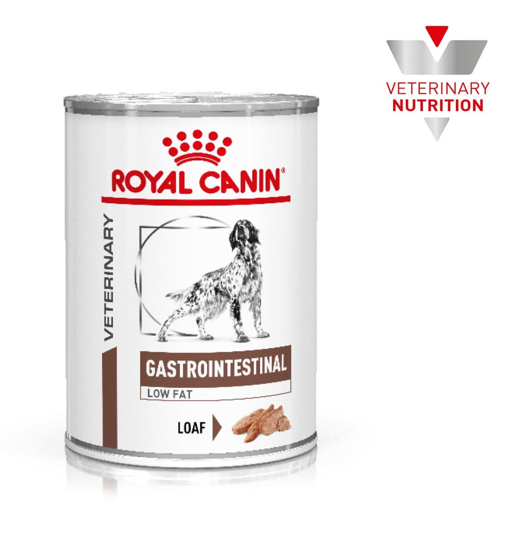 Royal Canin · Gastrointestinal low fat alimento para perros, Adulto (385 g)