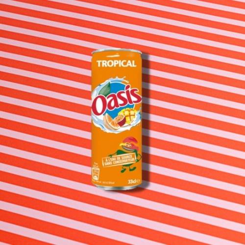 Oasis Tropical 🌴