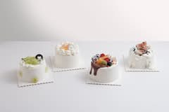 迷途 échapper cake studio