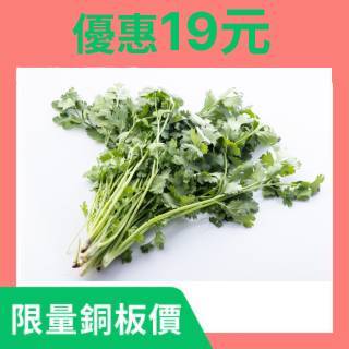 『 超優惠十九元 』香菜25g(阿銘商行40攤/B007-28)