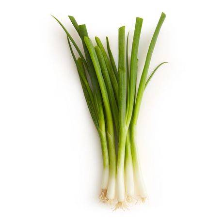 Nova Green Onion