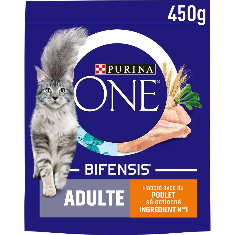 Purina - Croquettes pour chat adulte, poulet - céréales (450g)