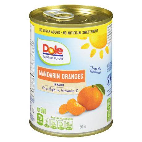 Dole Mandarin Oranges in Water (540 ml)