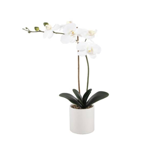 Realspace Real Touch Orchid in Ceramic Pot