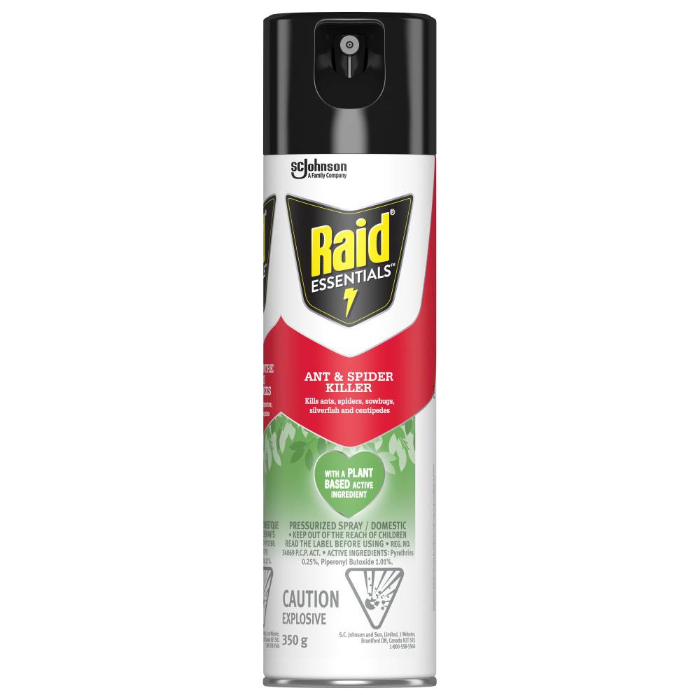 Raid Ant and Spider Insecticide Aerosol (350 g)
