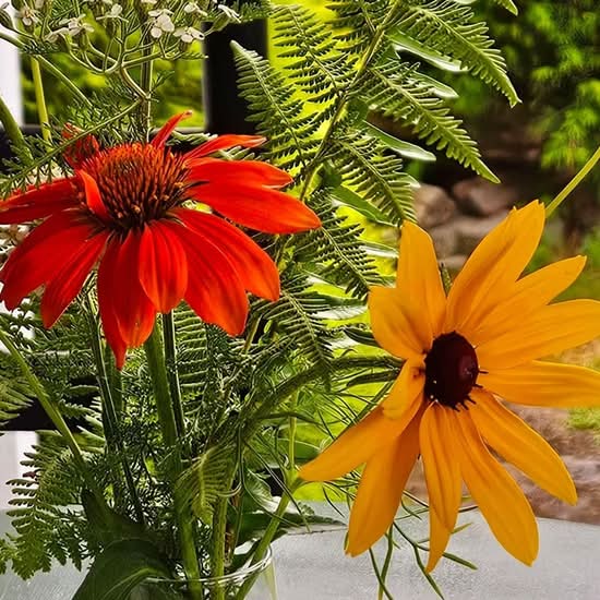 Magliocca's Ristorante