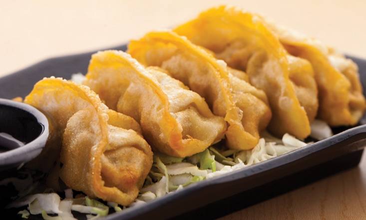 Fried Pork Gyoza Dumpling