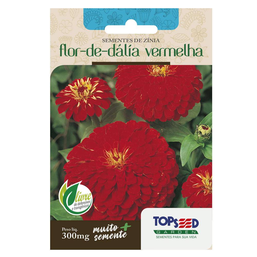 Topseed semente de zínia flor-de-dália vermelha garden (300mg)