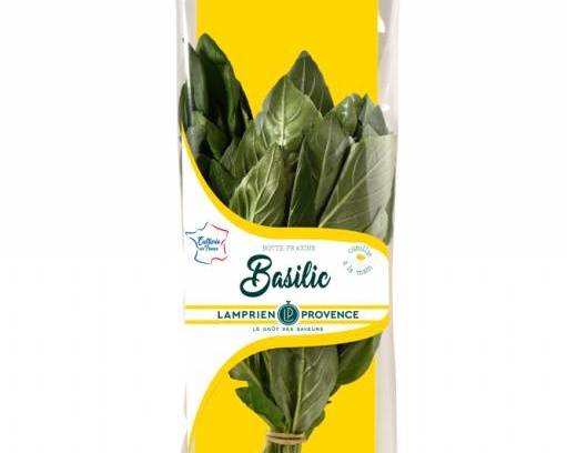 Basilic 30 g - Lamprien Provence
