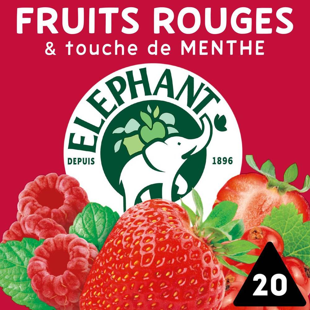 Eléphant - Infusion fruits rouges (360 g)