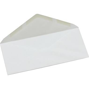 Hilroy Products Hilroy Envelopes Box10 White